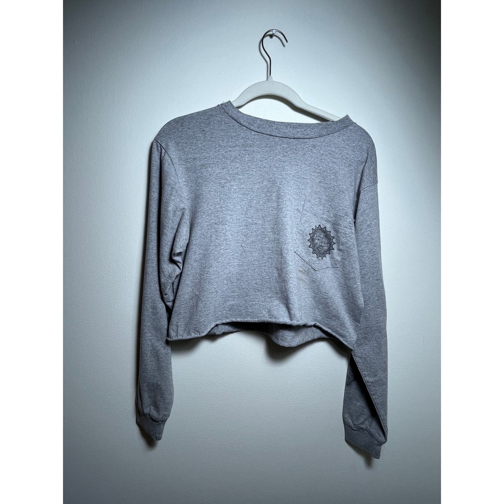 Lovelorn Urban Gray Long Sleeve Cropped Pocket T-Shirt Graphic Logo Raw Hem